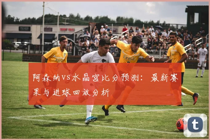 阿森纳vs水晶宫比分预测：最新赛果与进球回放分析