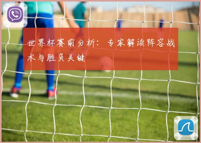 世界杯赛前分析：专家解读阵容战术与胜负关键