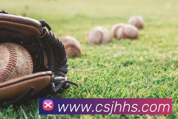 网上世界杯APP 封面图